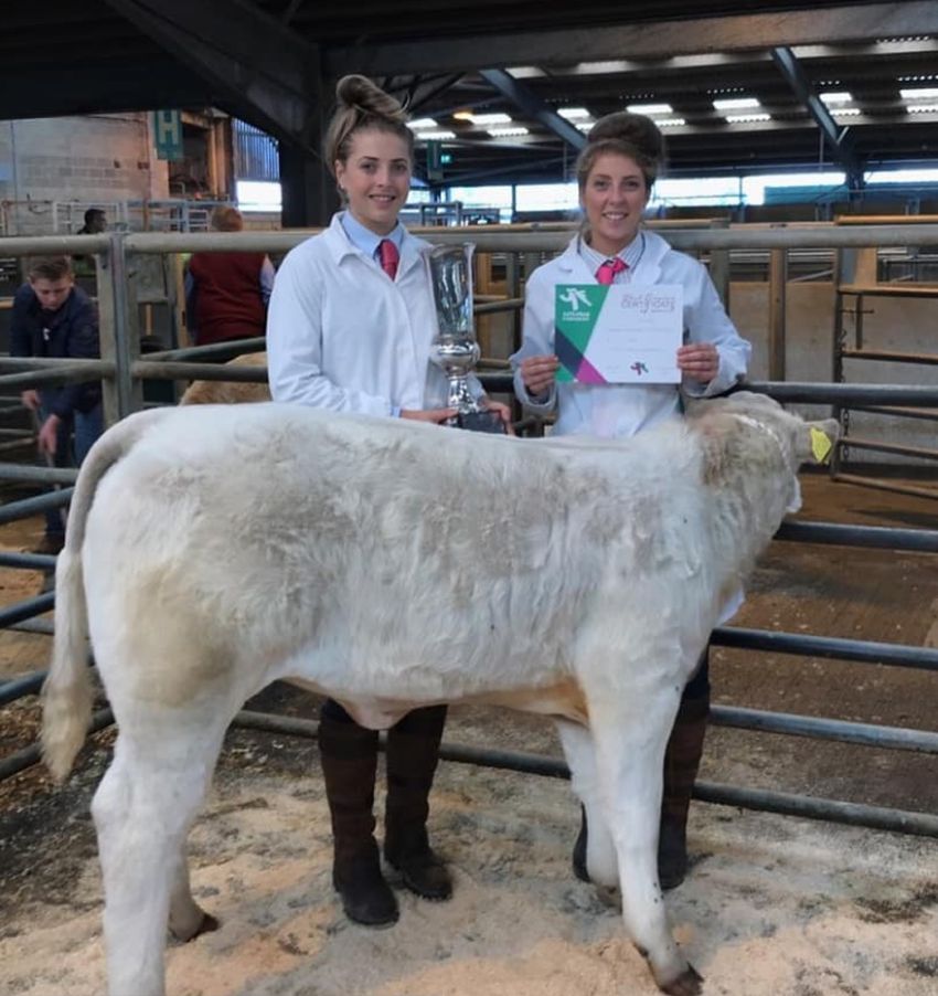 Allan Sisters Take Top Spot At West Beef Cattle Dressing