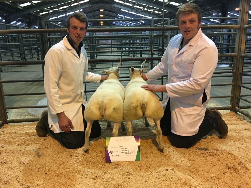 Double Win For Strichen And Garioch At North AGRI Competitions Weekend