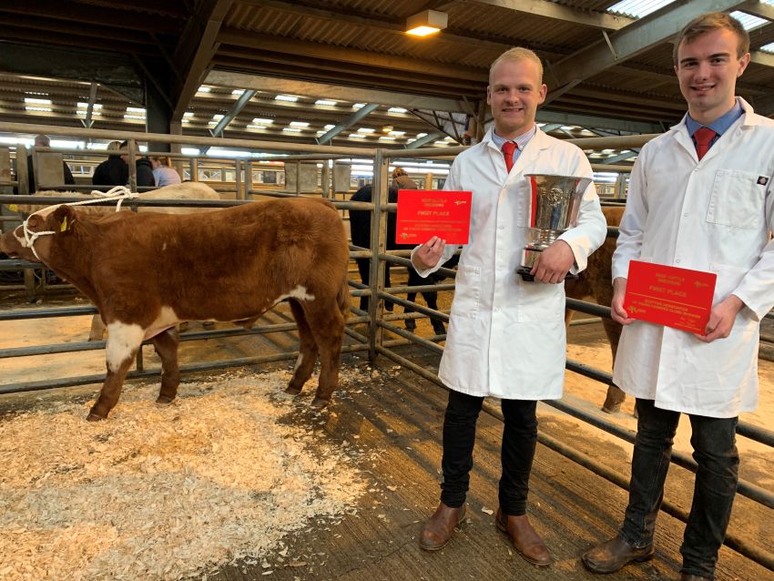 Annandale Pair Win National Beef Cattle Dressing