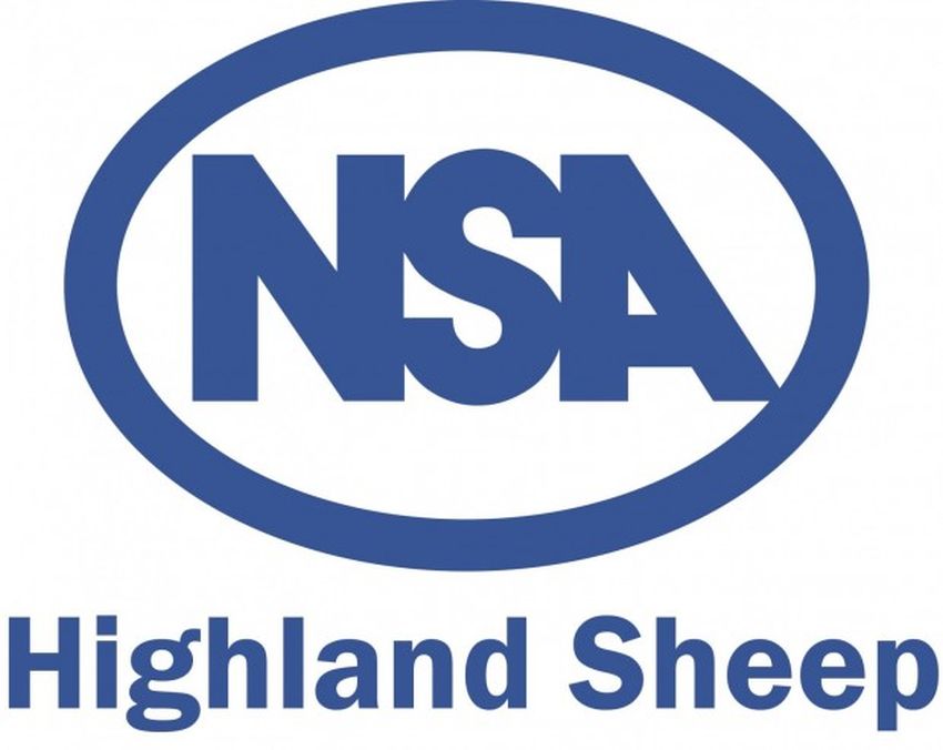 NSA Highland Sheep Stock Judging Results 2019