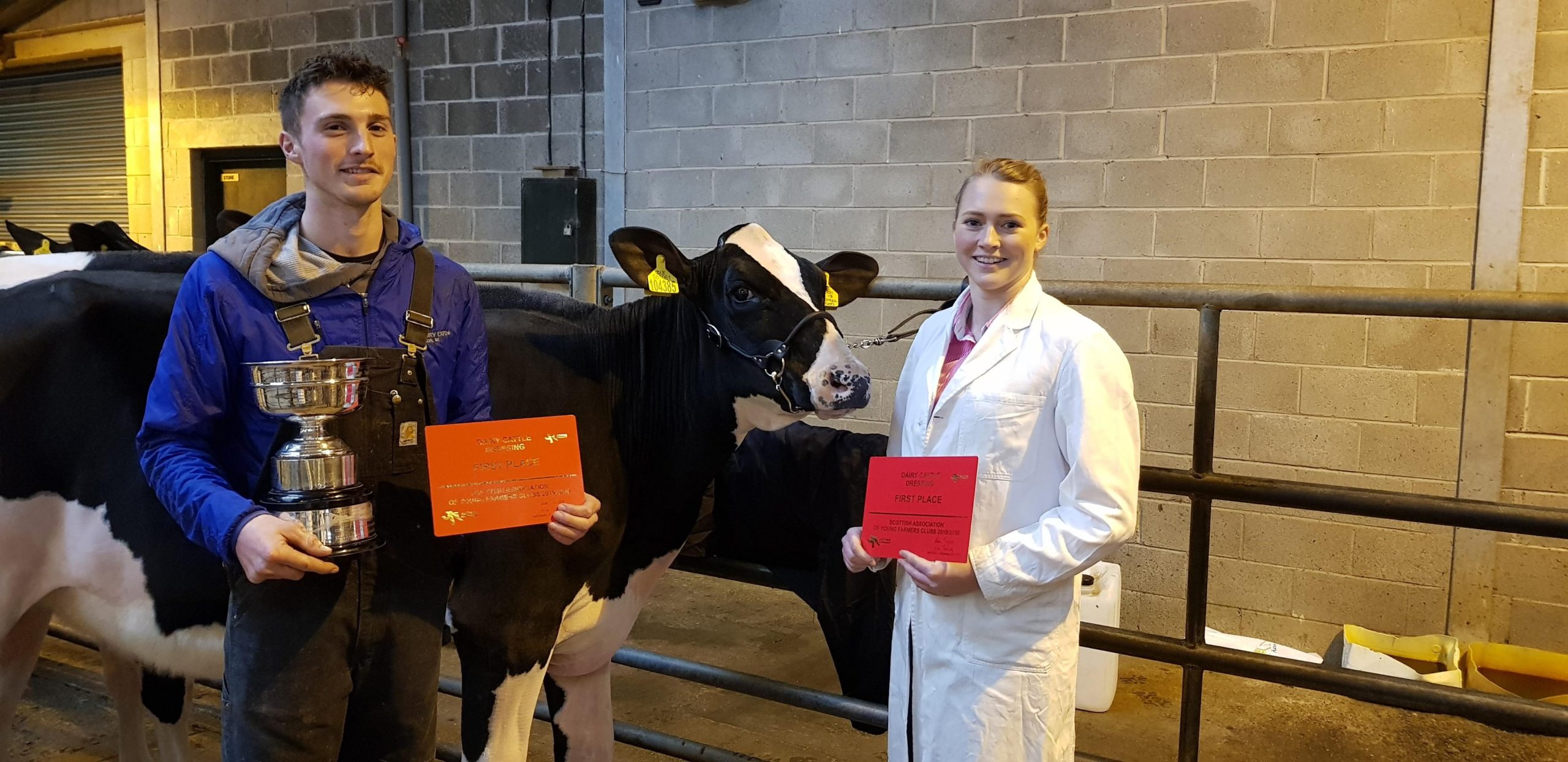Rennie Siblings Take Top Spot at National Dairy Cattle Dressing
