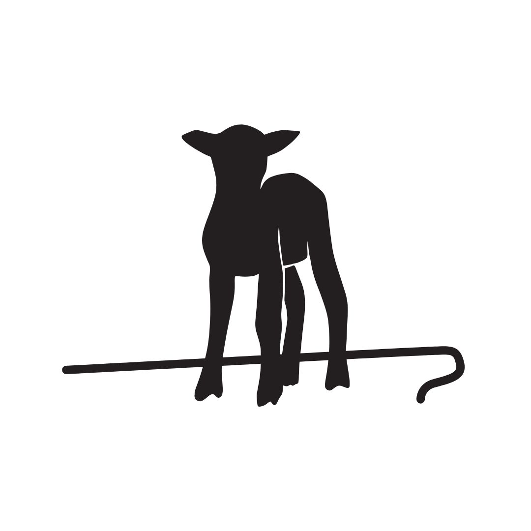 Night Lamber- Dumfries and Galloway