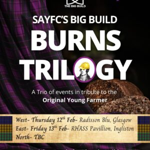 Big Build Burns Trilogy