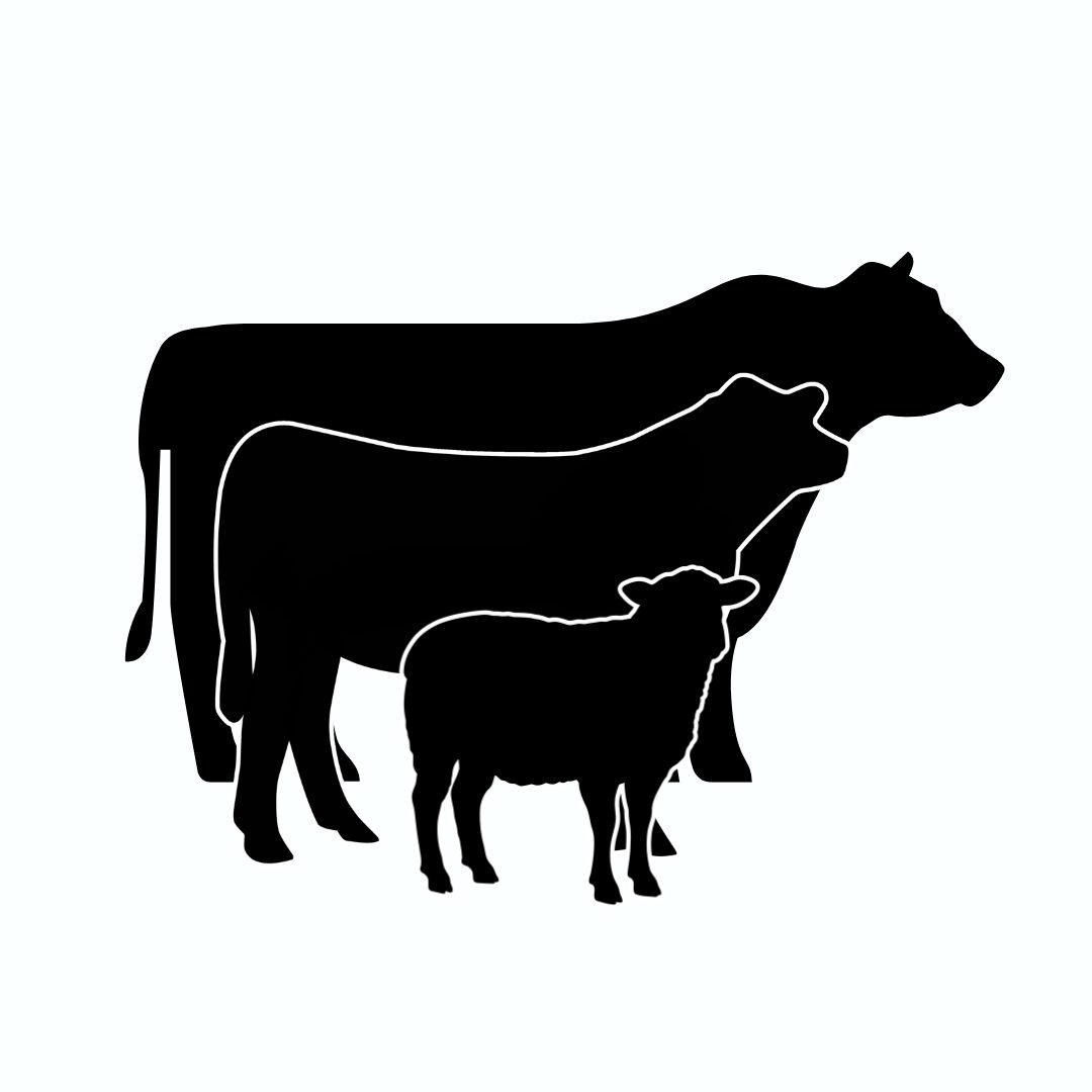 Stockperson (Selkirk)