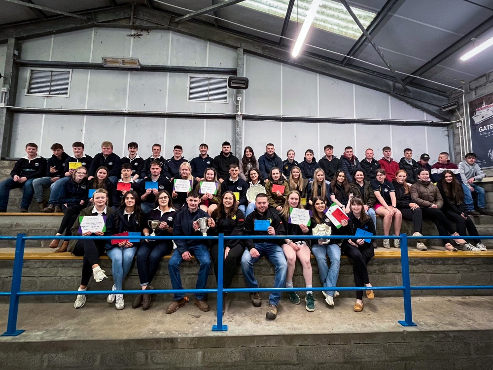 Joint Winners- Forss & Bower Web